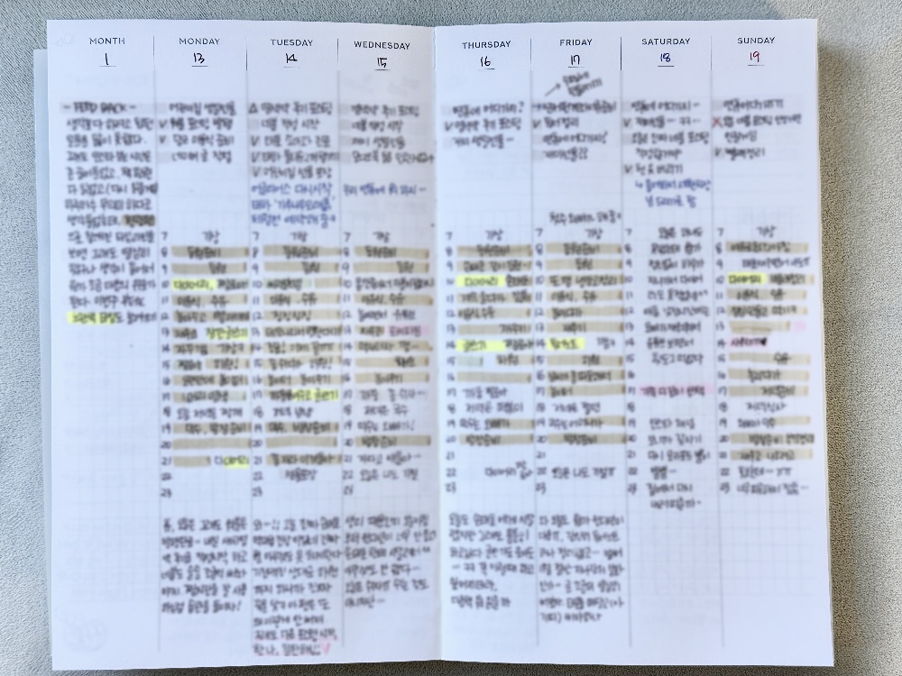 플레픽 롱텀알람다이어리