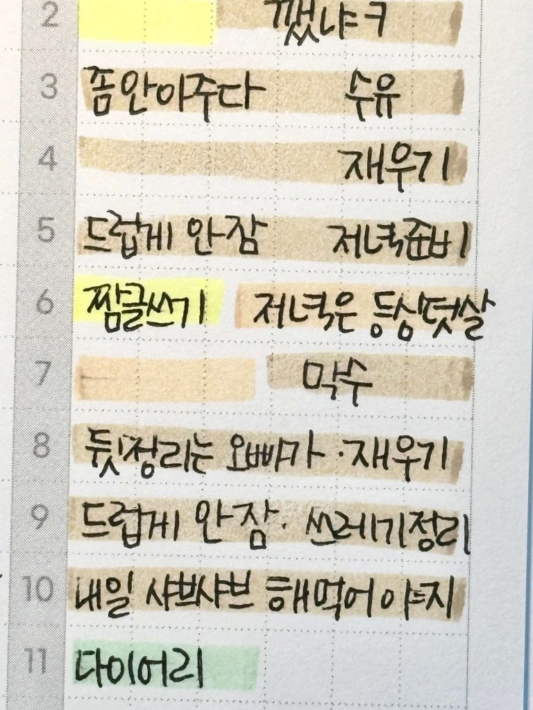 PDS 다이어리 기록